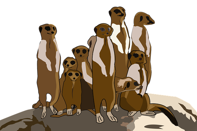 Download Meerkats, Animals, Clip Art. Royalty-Free Stock Illustration ...