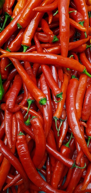 Free Chili Peppers Vegetables photo and picture