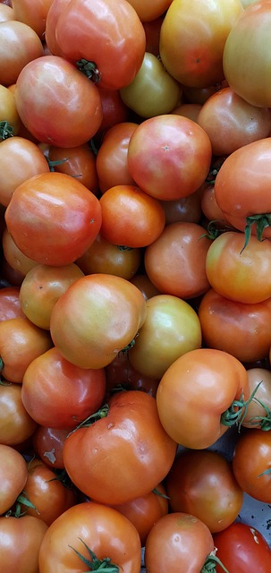 Free Tomatoes Vegetables photo and picture