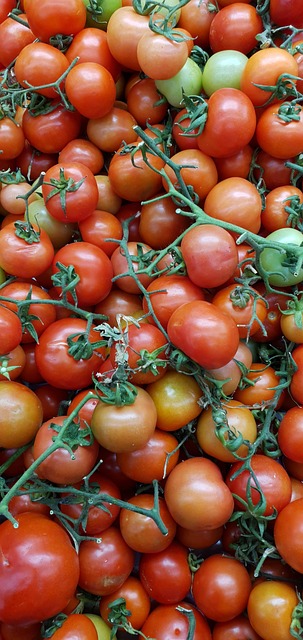 Free Tomatoes Vegetables photo and picture