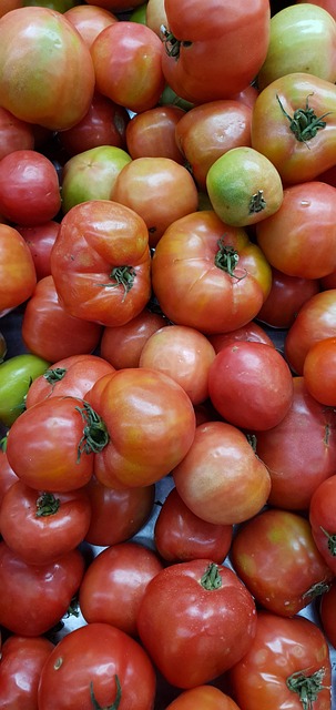 Free Tomatoes Vegetables photo and picture