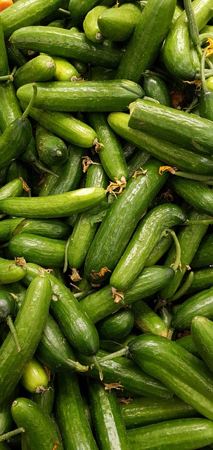 Free Cucumber Vegetables photo and picture