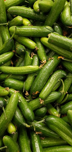Free Cucumber Vegetables photo and picture