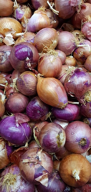 Free Onions Vegetables photo and picture