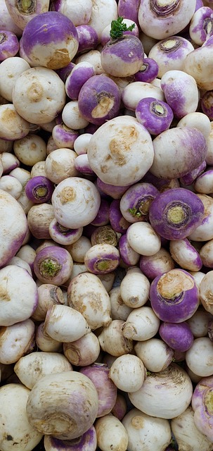 Free Turnips Vegetables photo and picture