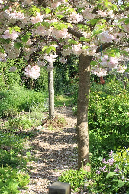 Garden Path Gravel - Free photo on Pixabay - Pixabay
