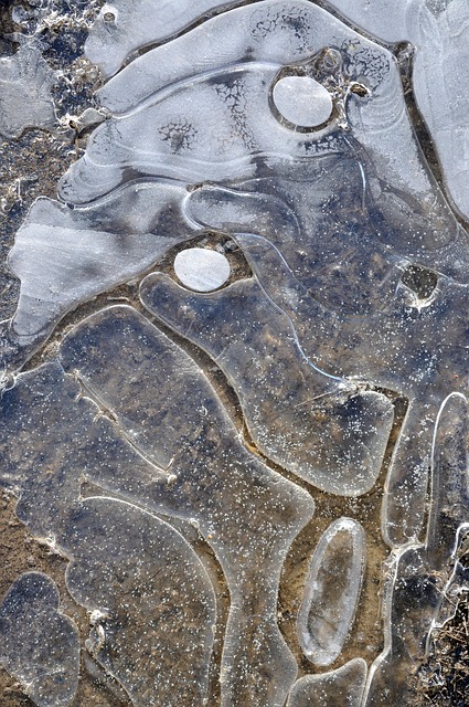 Invierno, Frío, Congelado, Hielo