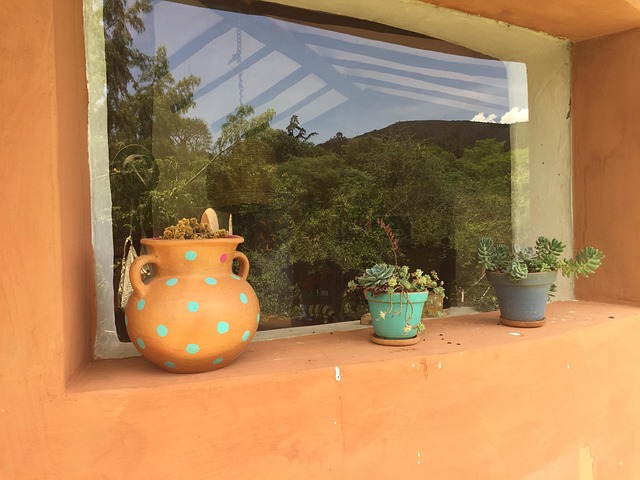 Free Bolivia Succulents photo and picture