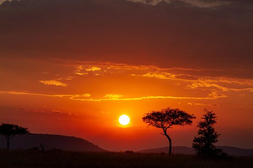 Free Africa Serengeti photo and picture