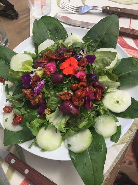 Free Salad Salad Plate photo and picture