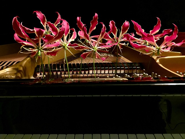 Free Magic Growing Flowers Grand Piano photo and picture