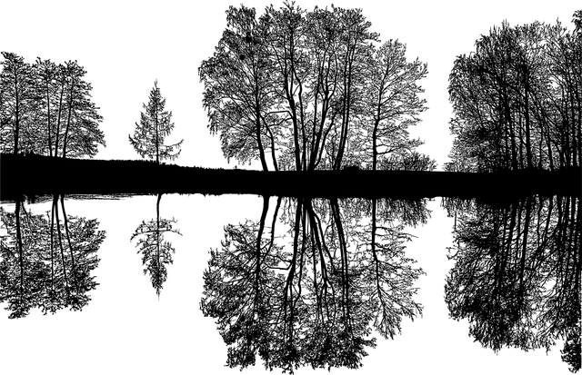 Free forest lake silhouette vector