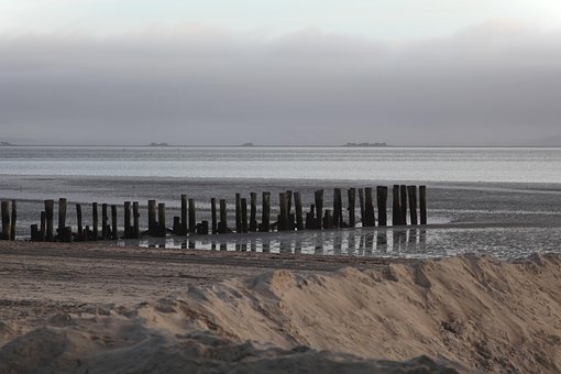 Free Wadden Sea Germany photo and picture