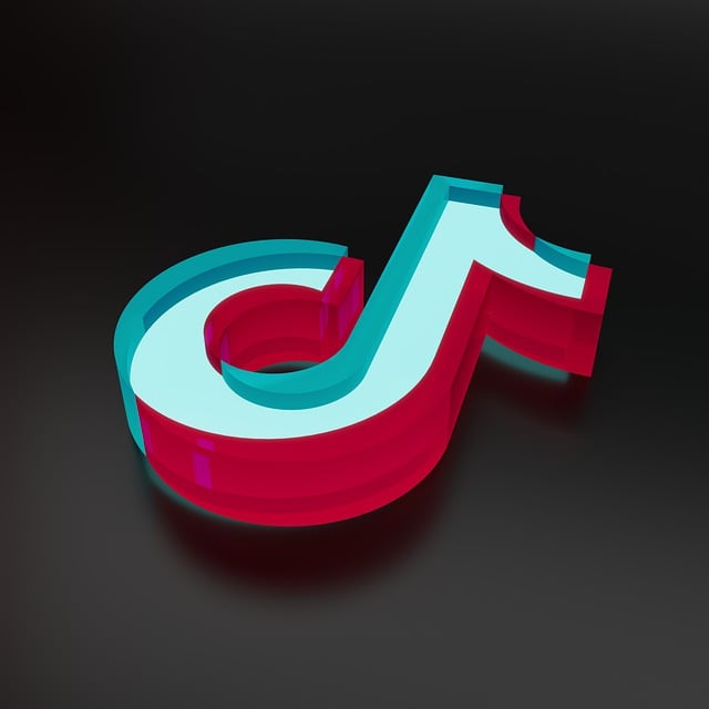 Sociale Medier, Tiktok, Video, Netværk