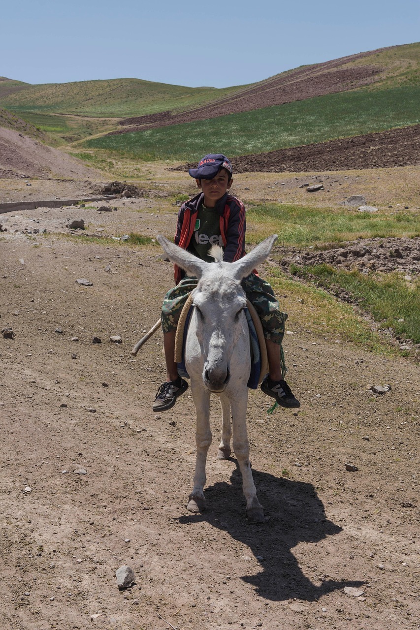 Donkey Ridng Boy Donkey Riding - Free photo on Pixabay