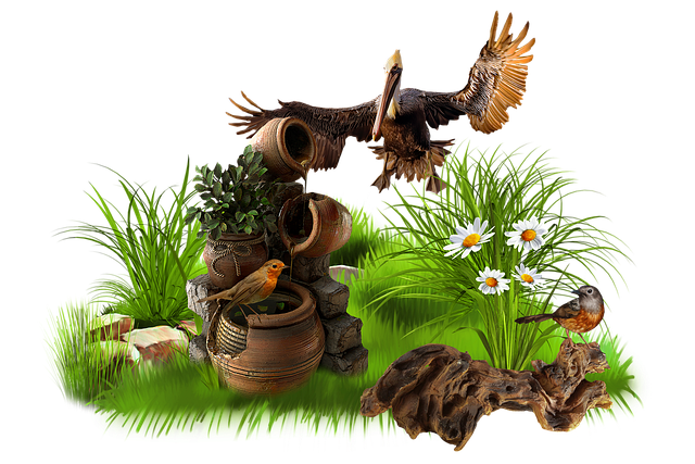 Free Birds Ornithology illustration and picture