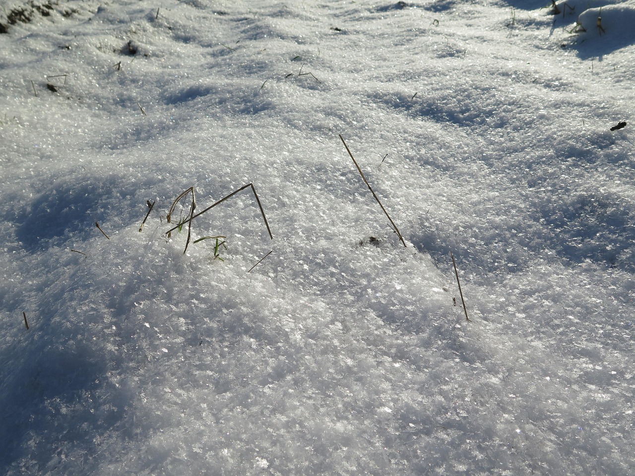 Schneeteppich Schnee Hintergrund - Kostenloses Foto auf Pixabay