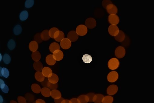 Free Night Moon photo and picture
