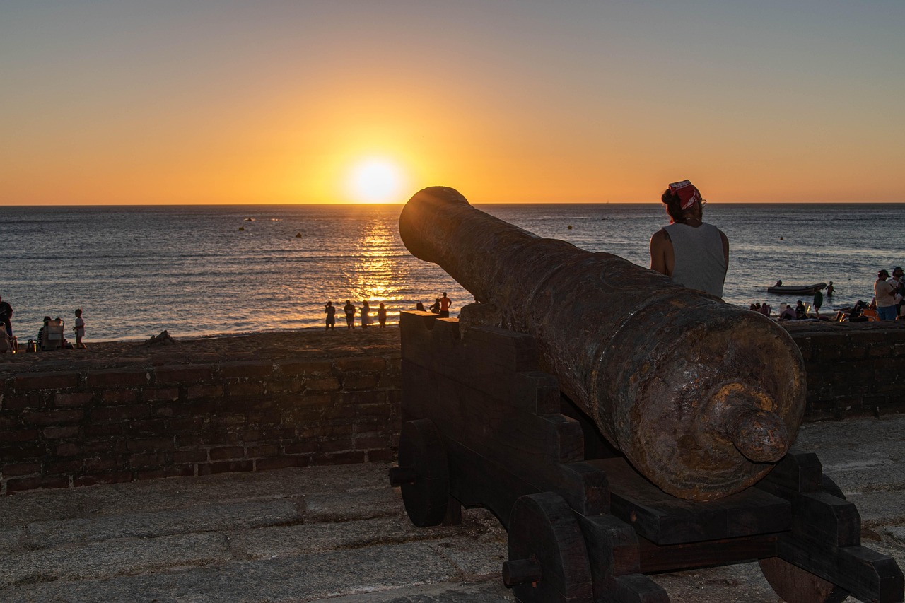 Cannon - free online jigsaw puzzle photo
