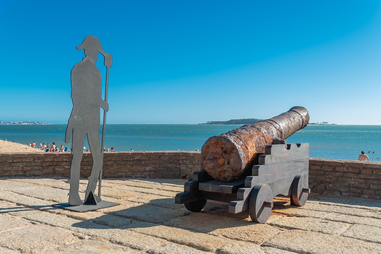 Cannon - free online jigsaw puzzle photo