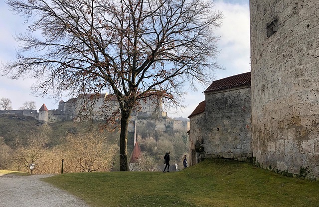 Free Castle Tree photo and picture