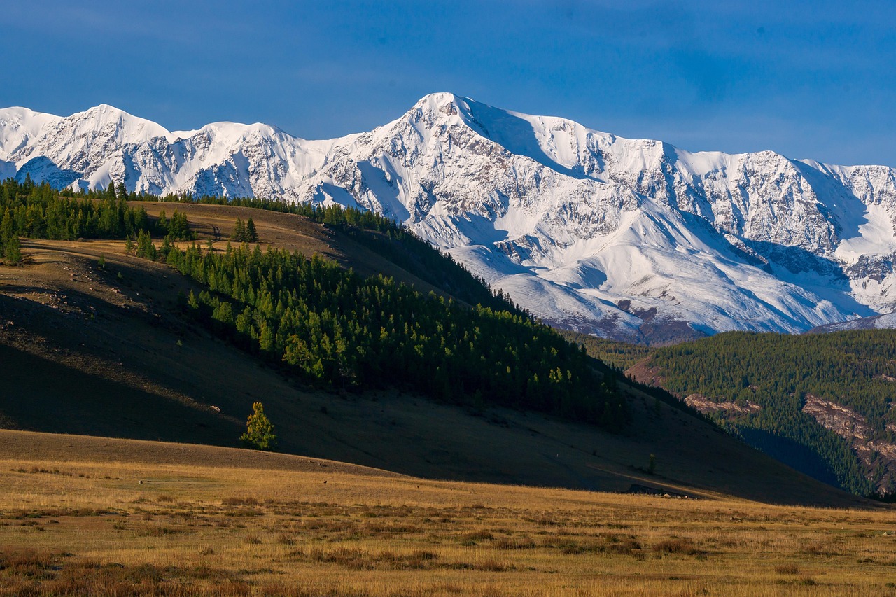 Altai - free online jigsaw puzzle photo