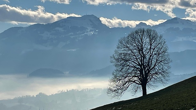 Free Mountains Alps photo and picture
