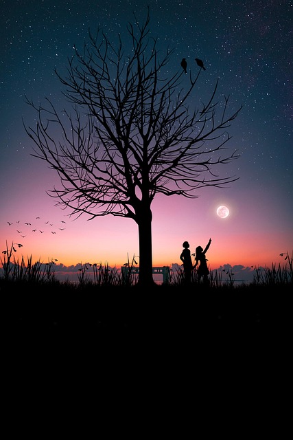 Amantes, Luz De La Luna, Naturaleza