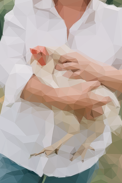 Femeie, Pui, Artă Cu Pixeli, Găină