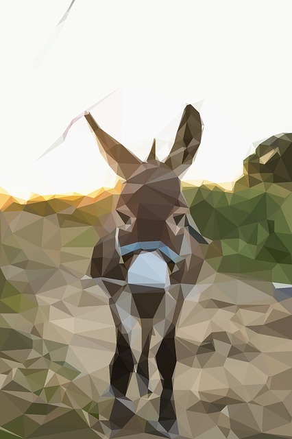 Free Animal Donkey vector and picture