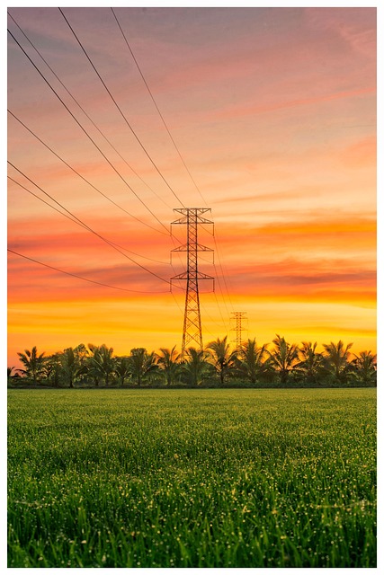 Free Sky Sunset photo and picture