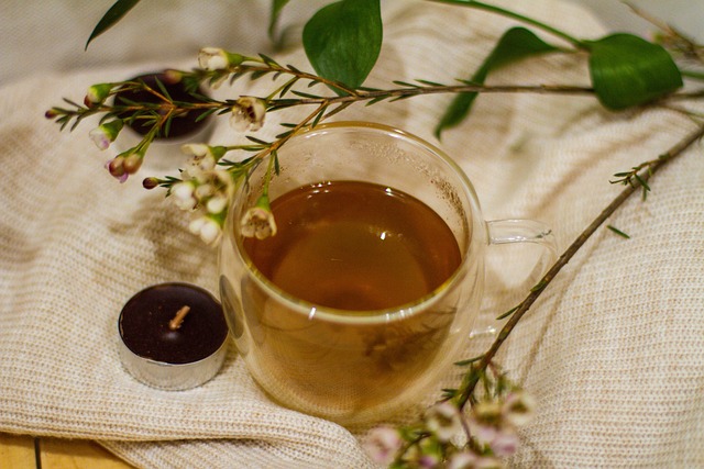 Free Tea Cup photo and picture