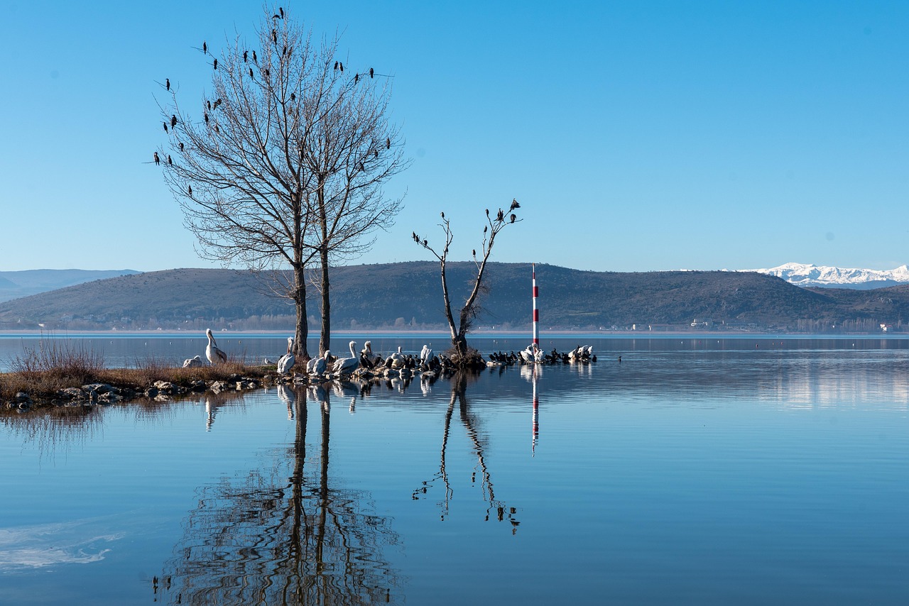 lac-des-oiseaux-nature-photo-gratuite-sur-pixabay-pixabay