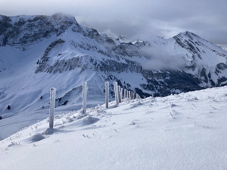 Free Winter Snow photo and picture