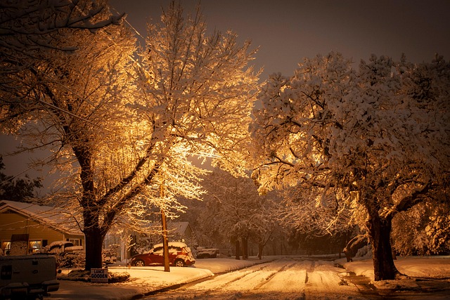 Free Road Snow photo and picture