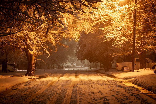 Free Roadway Night photo and picture