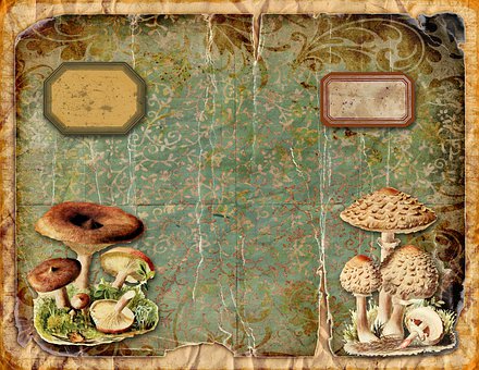 Scrapbog, Paddestol, Champignon