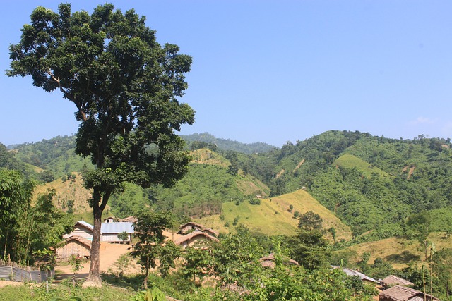 Free Bandarban Landscape photo and picture