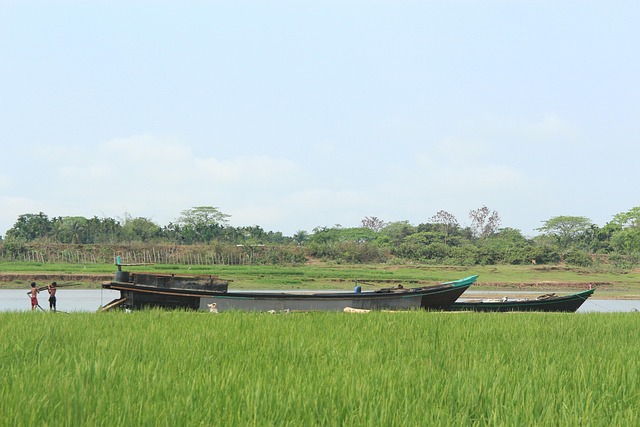 Free Bangladesh Bangladeshi photo and picture