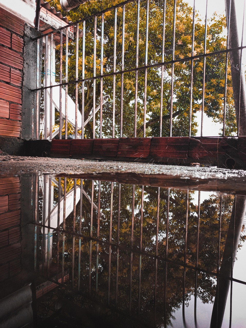 Puddle Refllection Puddle Reflection Fence - Free photo on Pixabay - Pixabay
