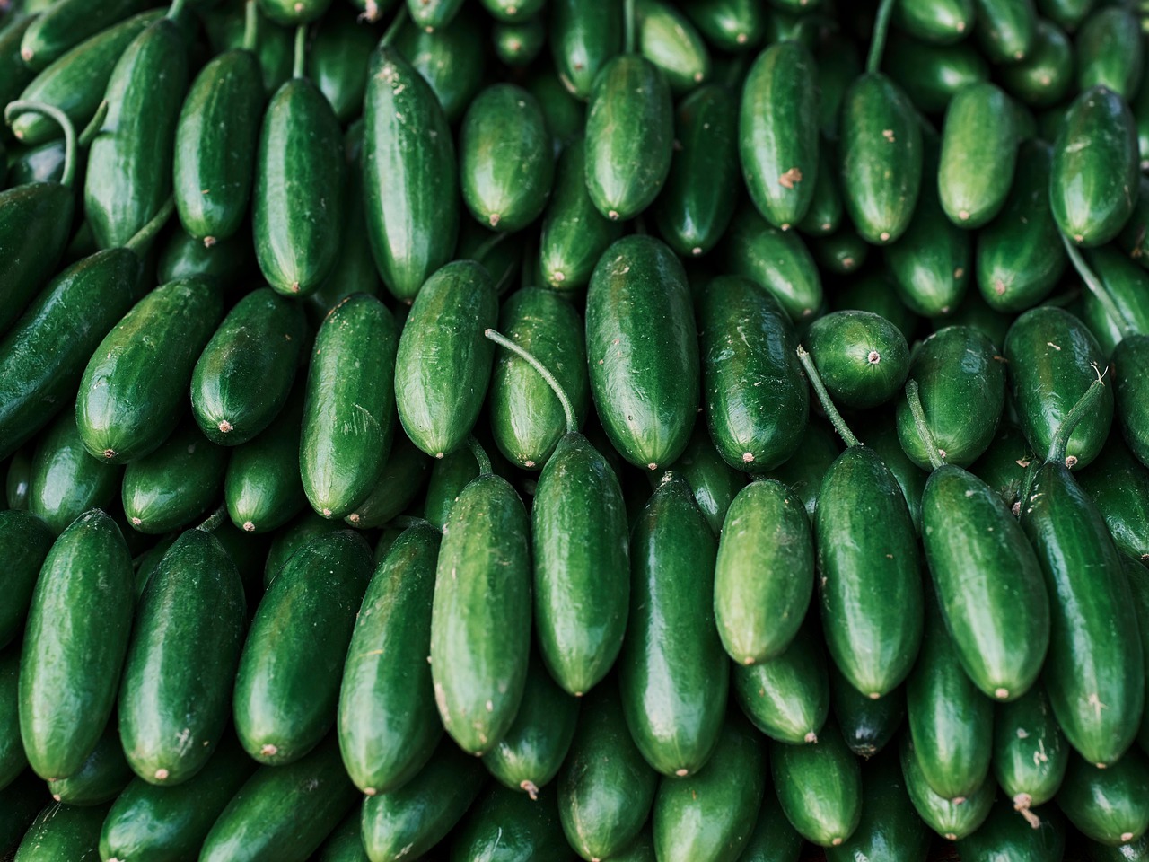 Cucumber Vegetable Food - Free photo on Pixabay