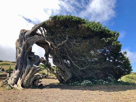 Free Holiday Canary Islands photo and picture