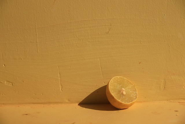 Free Lemon Fruit photo and picture
