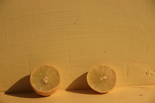 Free Lemon Fruit photo and picture