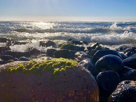 Free Canary Islands Sea photo and picture