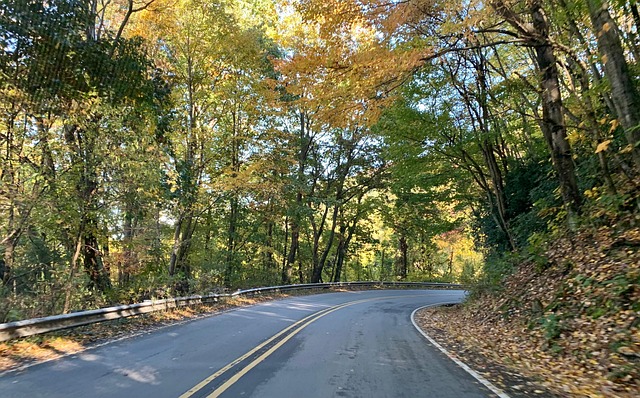 Free Curvy Road Mountain Road photo and picture