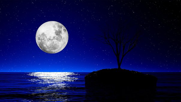 Lago, Lua, Noite, Natureza, Árvore, Ilha
