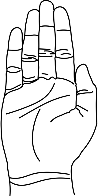 Free abhay mudra mudra hand vector