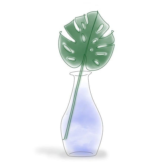 Free monstera plant drawing vase illustration