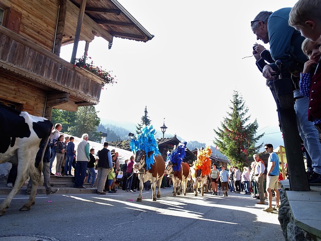 Alpine Rijden, Kelchsau, Tirol